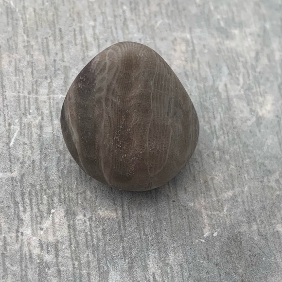 Petoskey stone - Picture 4 of 7